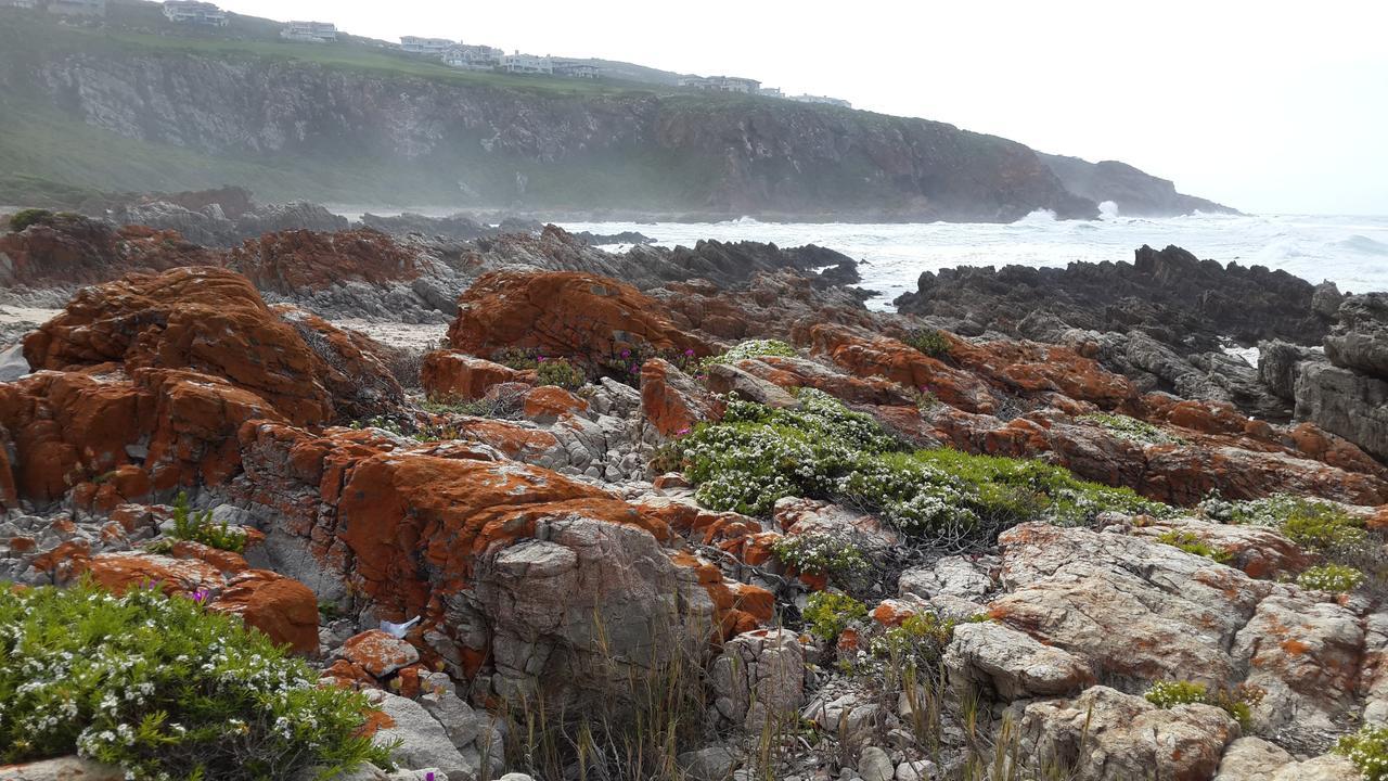 Pinnacle Point - Golf Safari Sa Mossel Bay Exterior foto